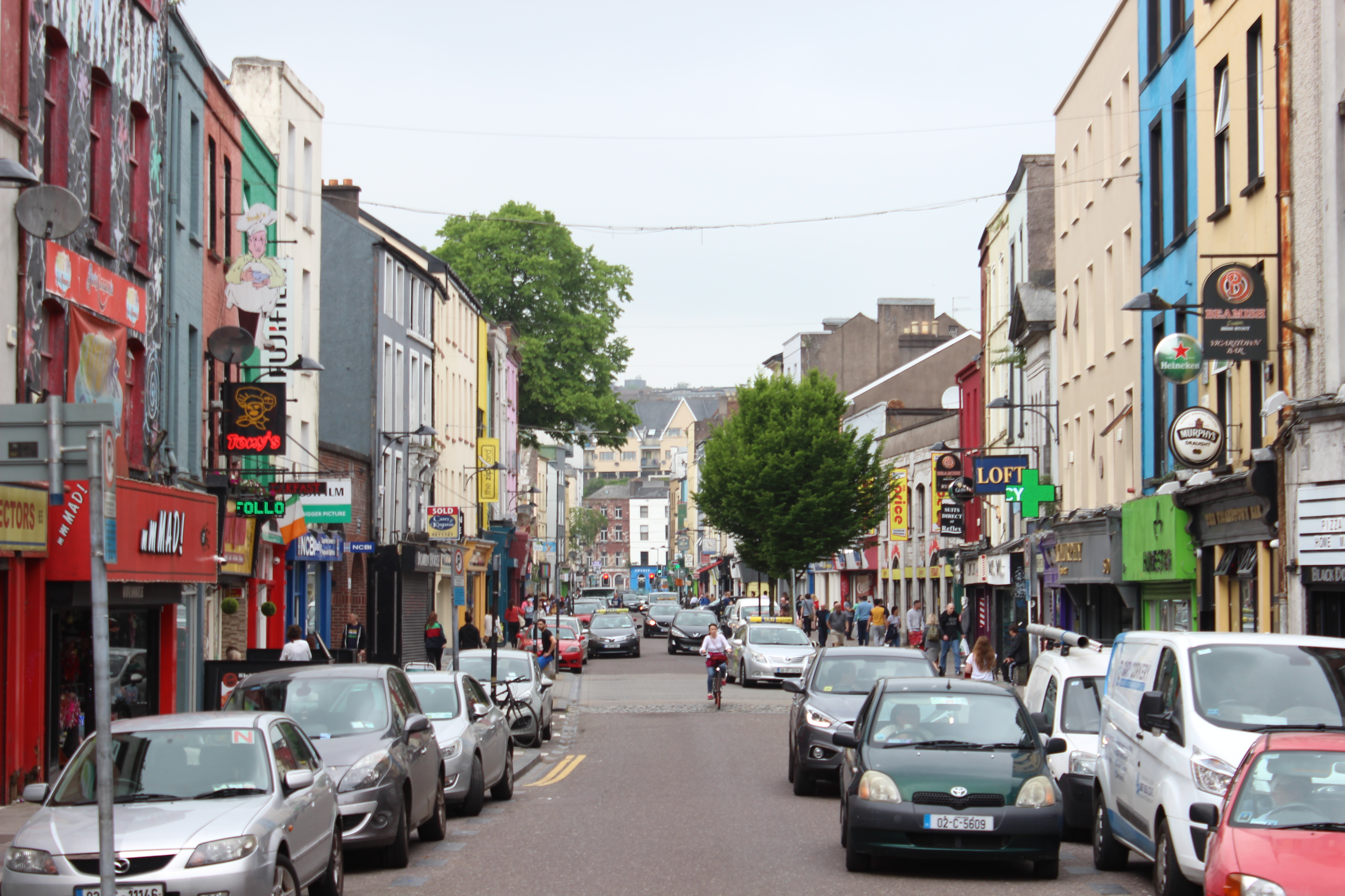 Local Economic and Community Plan - Cork County Council